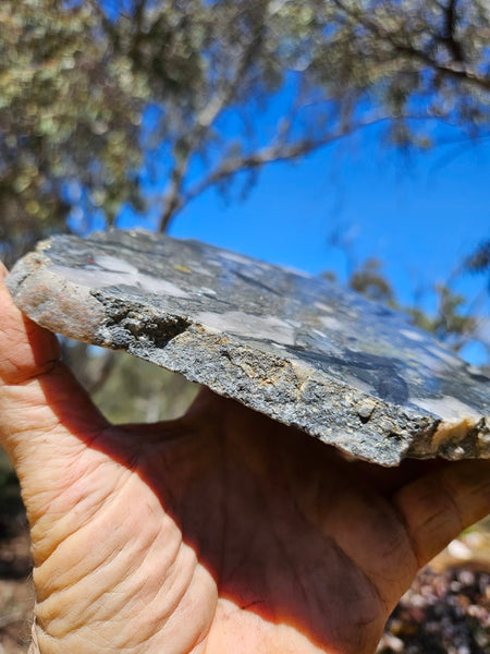 Polished Beaton's Creek auriferous conglomerate slab BC108
