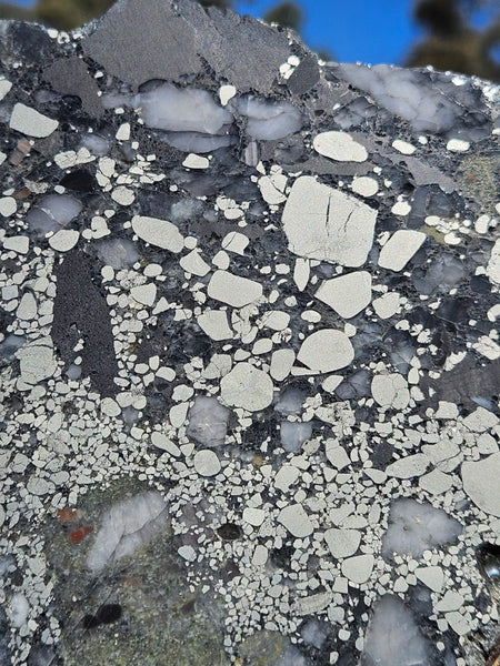 Polished Beaton's Creek auriferous conglomerate slab BC108