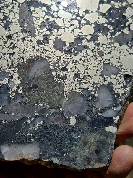 Polished Beaton's Creek auriferous conglomerate slab BC108