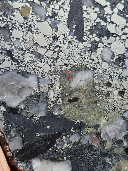 Polished Beaton's Creek auriferous conglomerate slab BC108