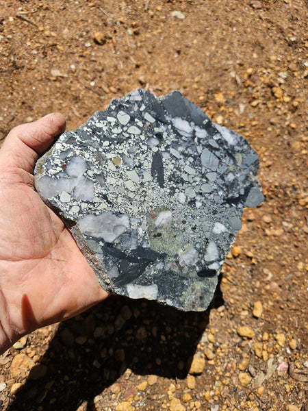 Polished Beaton's Creek auriferous conglomerate slab BC108