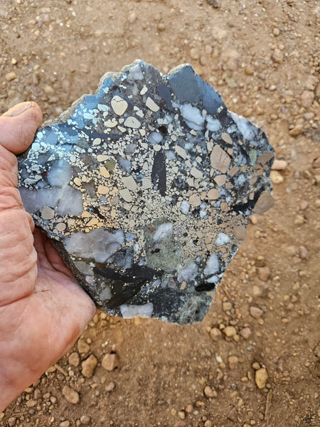 Polished Beaton's Creek auriferous conglomerate slab BC108
