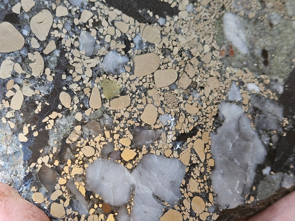 Polished Beaton's Creek auriferous conglomerate slab BC108