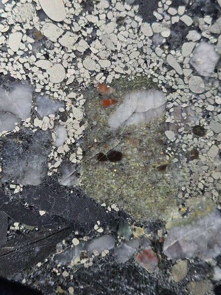 Polished Beaton's Creek auriferous conglomerate slab BC108