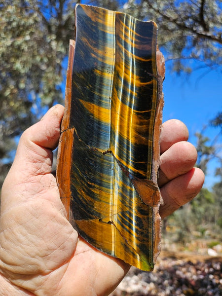 Polished African Tiger Eye slab TEA111