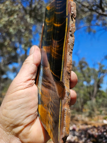 Polished African Tiger Eye slab TEA111
