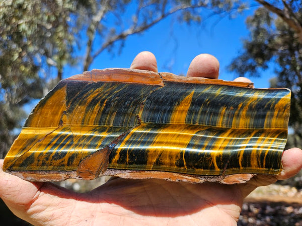 Polished African Tiger Eye slab TEA111