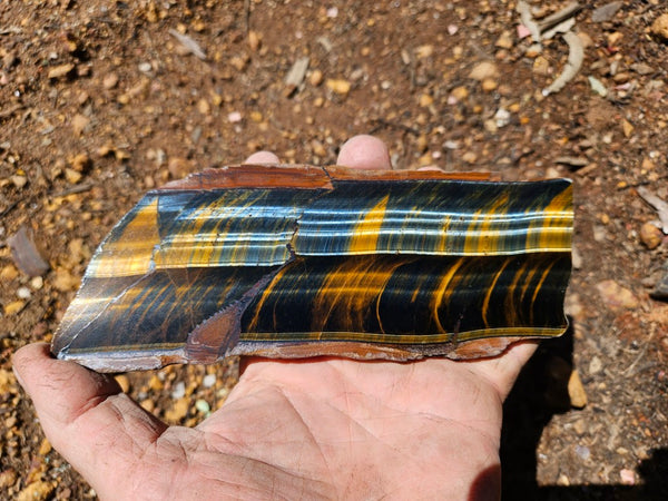 Polished African Tiger Eye slab TEA111