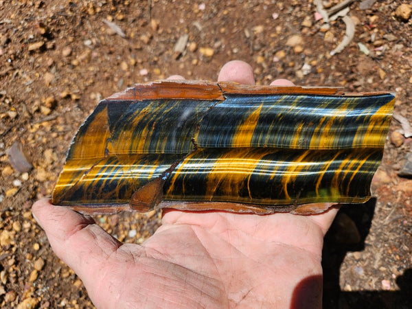 Polished African Tiger Eye slab TEA111