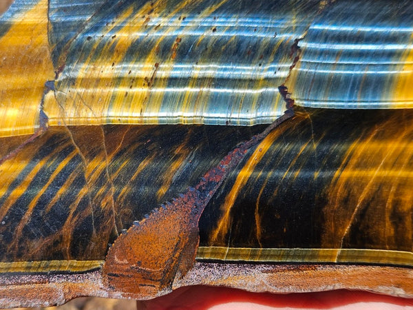 Polished African Tiger Eye slab TEA111