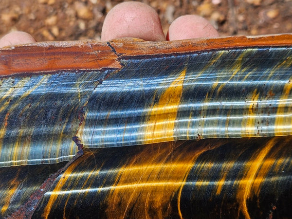 Polished African Tiger Eye slab TEA111