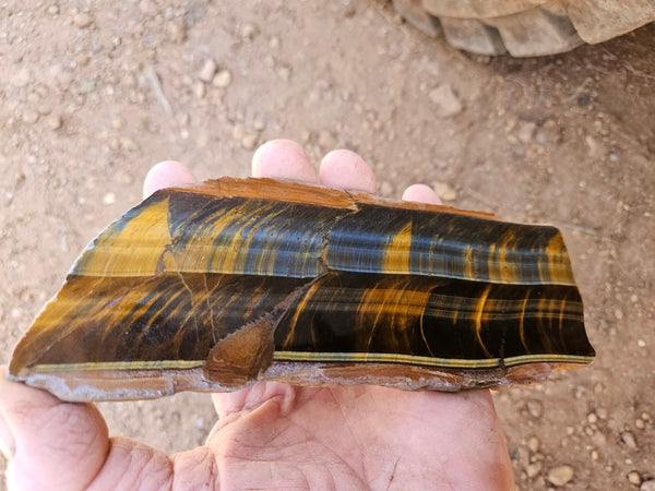 Polished African Tiger Eye slab TEA111