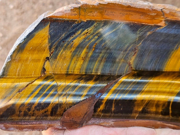 Polished African Tiger Eye slab TEA111