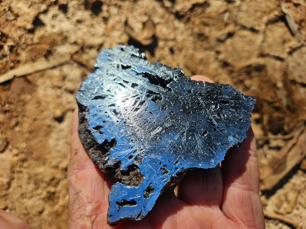 Reticulated Hematite  HEM146