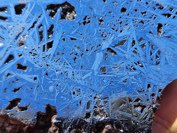 Reticulated Hematite  HEM146