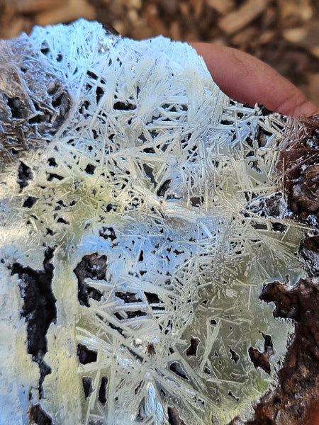Reticulated Hematite  HEM146