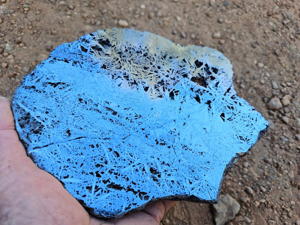 Reticulated Hematite  HEM145
