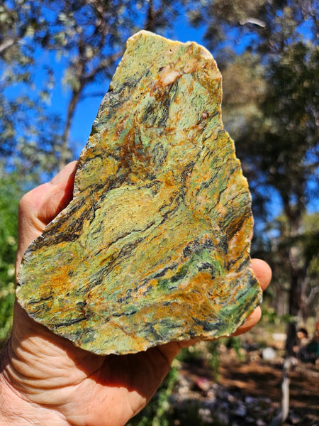 Polished Opalised Serpentine  OPS111