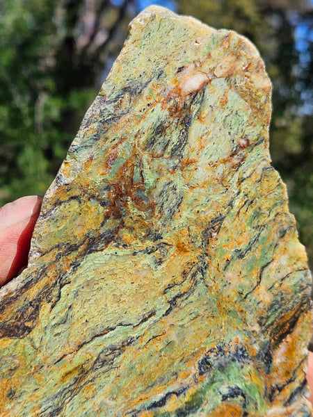 Polished Opalised Serpentine  OPS111