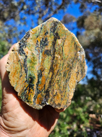 Polished Opalised Serpentine  OPS112