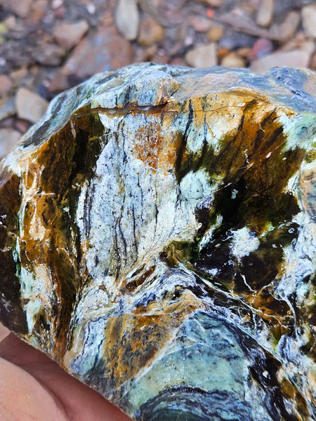 Polished Opalised Serpentine  OPS113