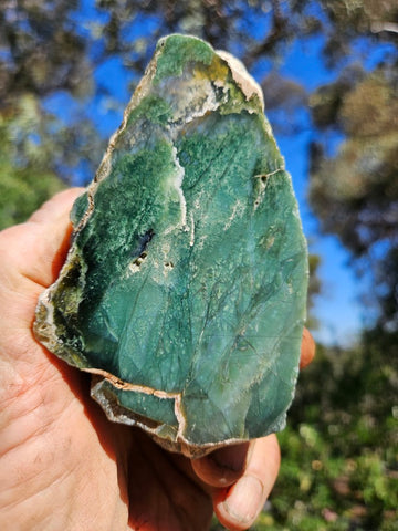 Polished Chrome Chalcedony  CC166