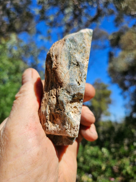 Polished Chrome Chalcedony  CC166