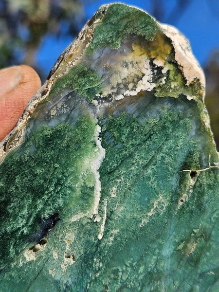 Polished Chrome Chalcedony  CC166