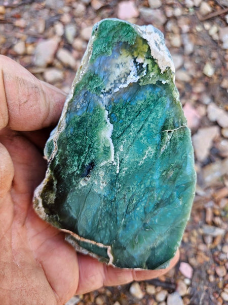 Polished Chrome Chalcedony  CC166