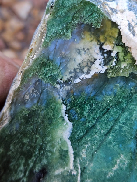 Polished Chrome Chalcedony  CC166