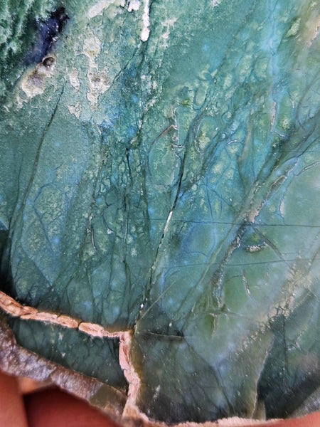 Polished Chrome Chalcedony  CC166