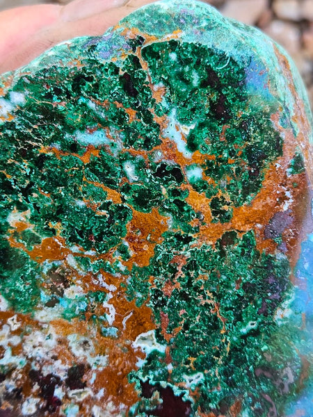 Polished De Grussa copper ore  CO119