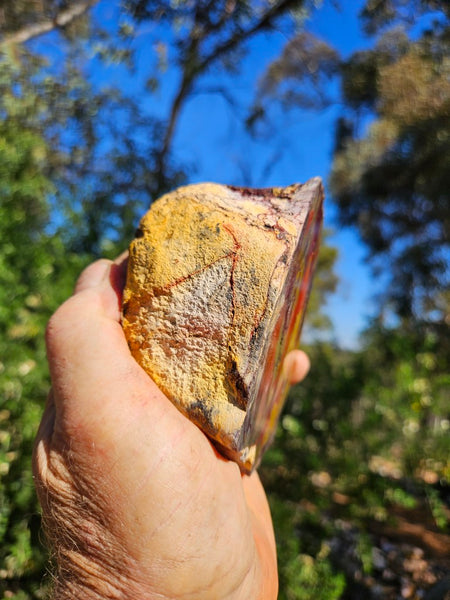 Polished Mookaite  MK565