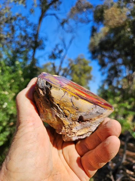 Polished Mookaite  MK565