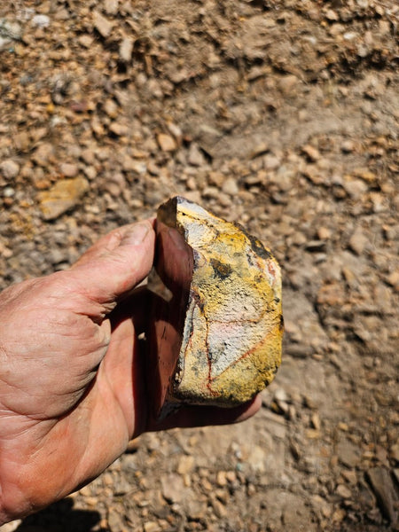Polished Mookaite  MK565