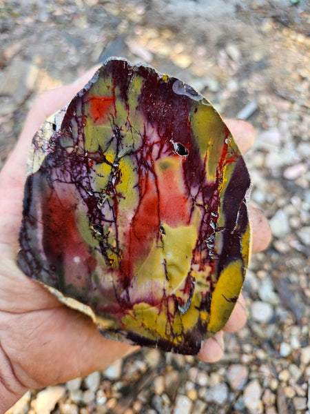 Polished Mookaite  MK565