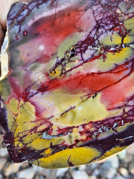 Polished Mookaite  MK565