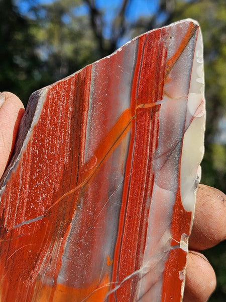 Polished Marble Bar Chert  slab MB108
