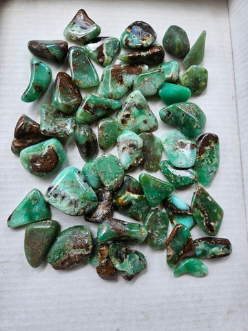 1 kg.Tumble Polished Chrysoprase CHT168