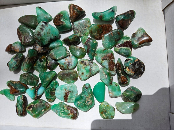 1 kg.Tumble Polished Chrysoprase CHT168