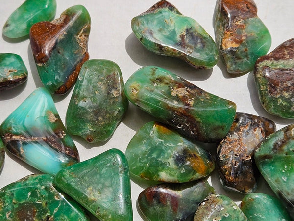 1 kg.Tumble Polished Chrysoprase CHT168