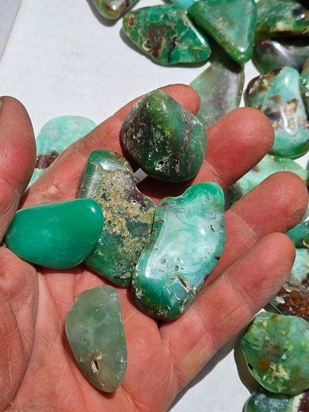 1 kg.Tumble Polished Chrysoprase CHT168