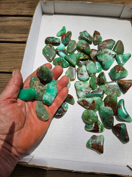 1 kg.Tumble Polished Chrysoprase CHT168