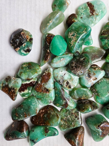 1 kg.Tumble Polished Chrysoprase CHT168