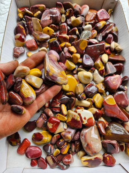 3 kg. Tumble Polished Mookaite MKT193
