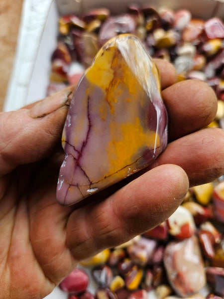 3 kg. Tumble Polished Mookaite MKT193