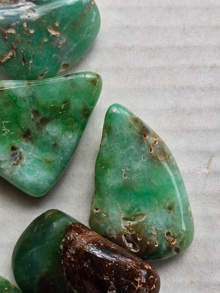Tumble Polished Chrysoprase CHT167