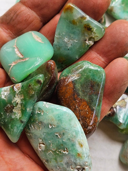Tumble Polished Chrysoprase CHT167
