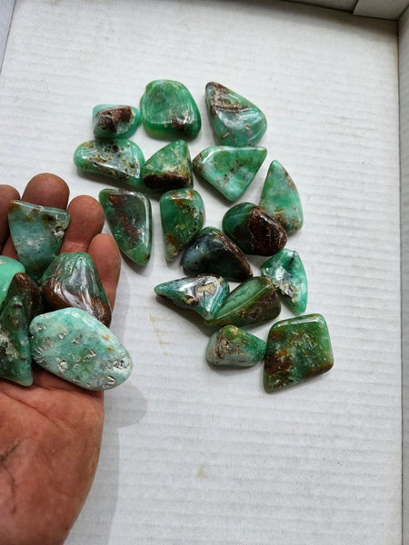Tumble Polished Chrysoprase CHT167