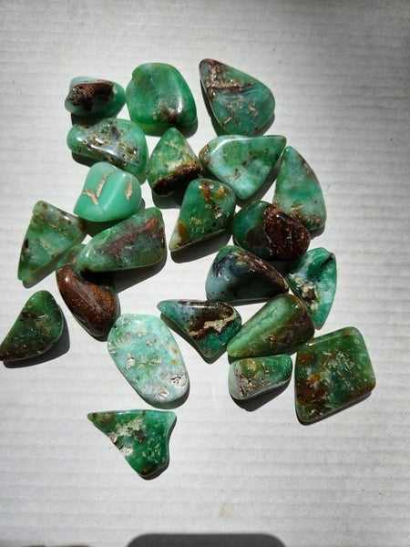 Tumble Polished Chrysoprase CHT167
